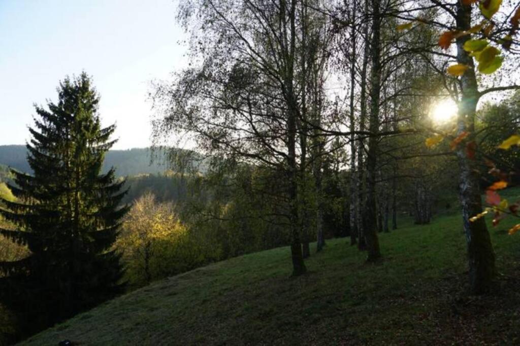 Ruhiges Ferienhaus Am Waldrand Mit Sauna Und Kamin - Hellaberg II Langenbach  Luaran gambar
